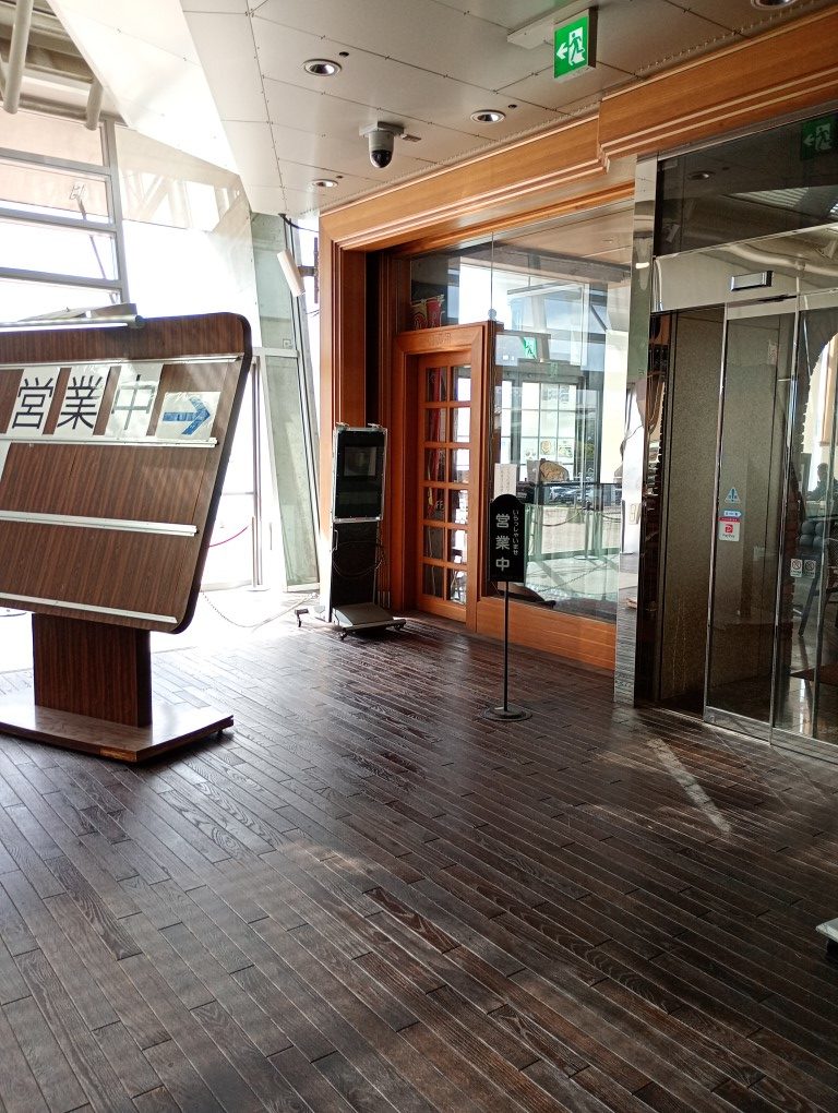 ふよう　芙蓉　マリンメッセ