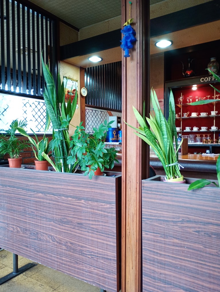 喫茶 ユーカリ　吉野ケ里　店内