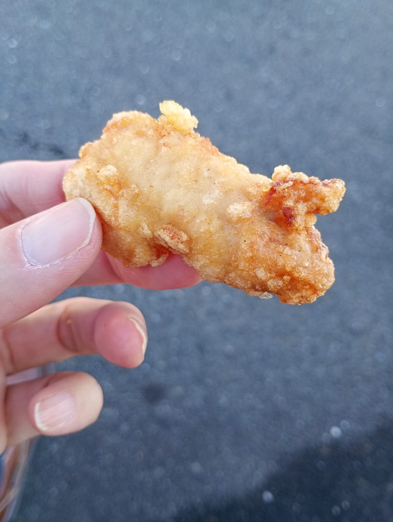 からあげと鶏刺しの店 やっちゃん 二日市 もも