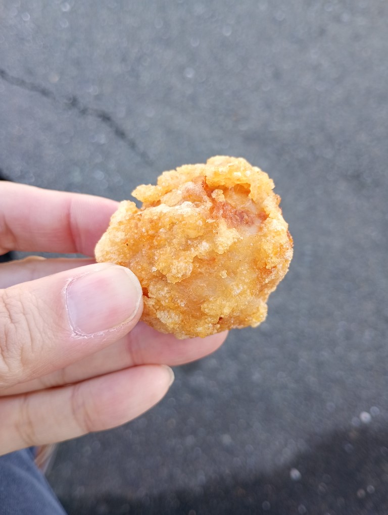 からあげと鶏刺しの店 やっちゃん 二日市 むね