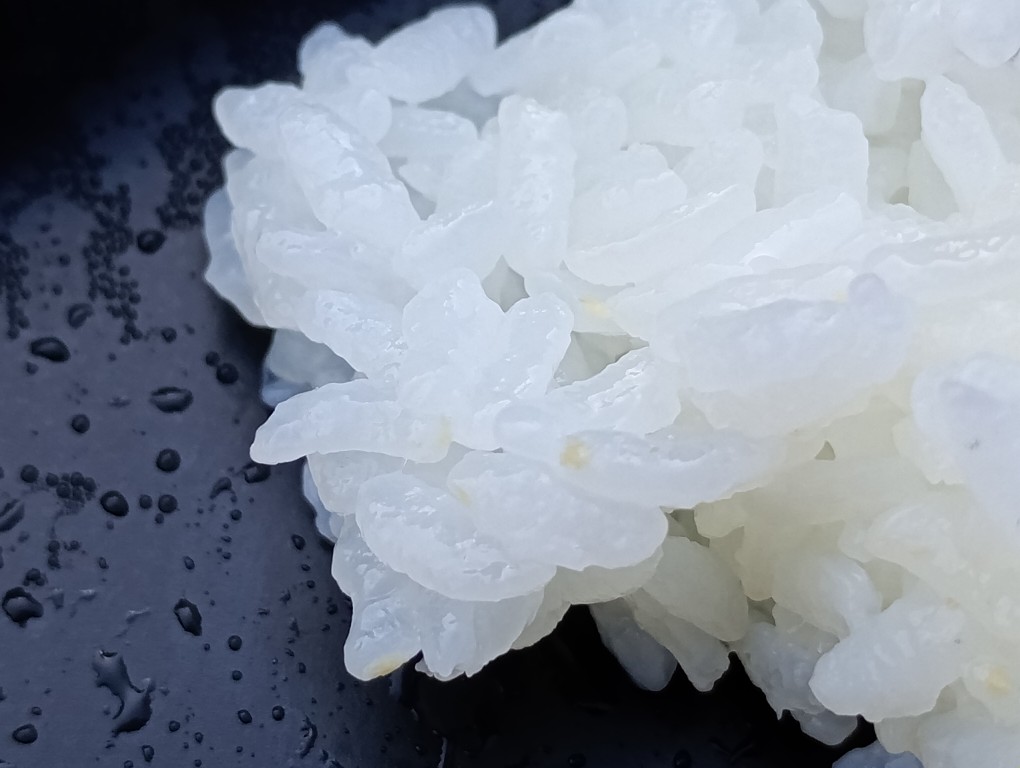 道の駅しんよしとみ　おぼろ月夜　弁当　胚芽米