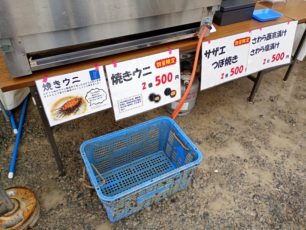 漁師の魚そのまんま 岡垣ほろよいまつり